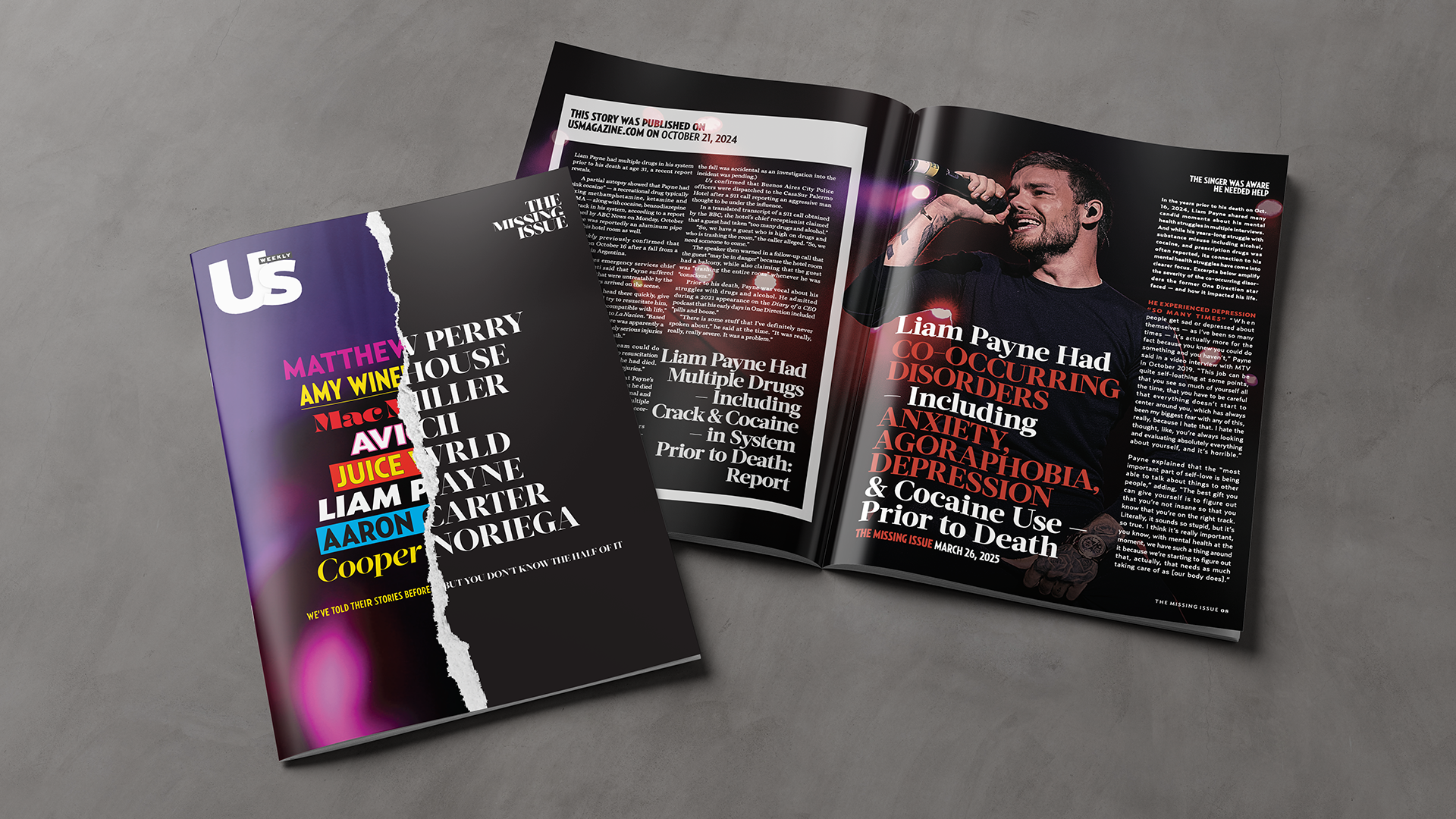 the harris project The Missing Issue - Work